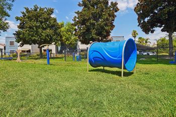 A blue tube-shaped playground slide in a grassy area.